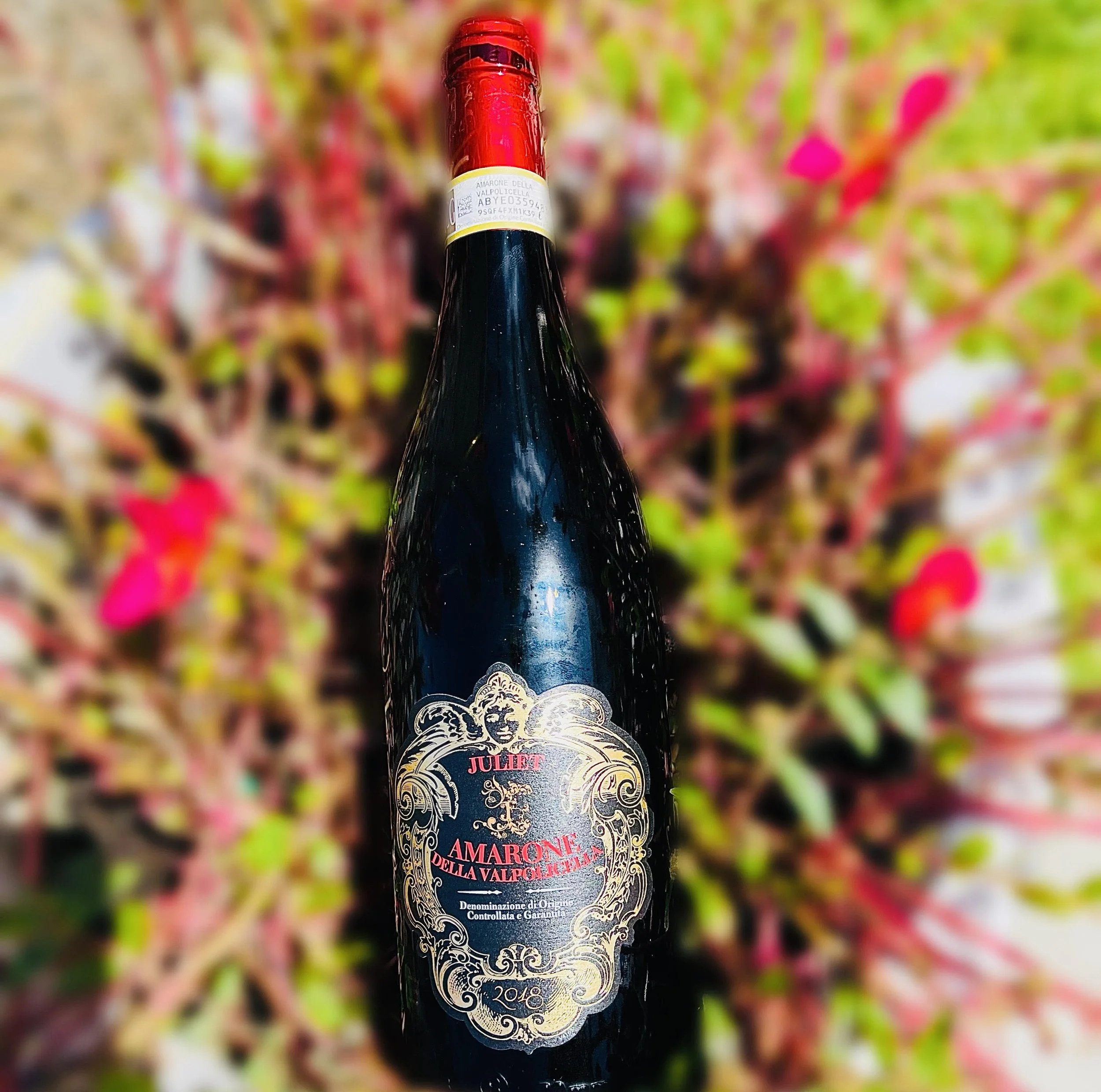 Juliet Amarone della Valpolicella DOCG, 2018 — The French Wine